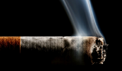 foto  Programa Anual de Inspección del Tabaco. PAIT
